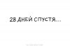 1580315735186778786.jpg