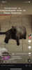 88170D4A_7FA1_449D_8C5C_2000A8FEA28D.png