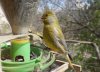 DSC03819.JPG