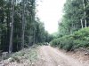 koAAAgHO_uA_960.jpg