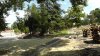 _S3800018.jpg