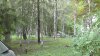 _S3800031.jpg