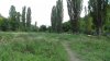 _S3800035.jpg