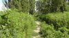 _S3800054.jpg