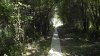 _S3800074.jpg