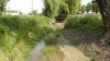 _S3800078.jpg