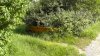 _S3800081.jpg