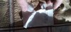20201229_152116.jpg