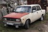 P3178006_ed.jpg
