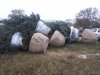 20201110_083037.jpg