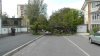 S4430001.jpg