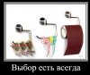 a4cd9fe4b2bf.jpg