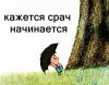 11683210.jpg