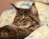 PC017010.jpg