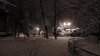 _S4250003.jpg