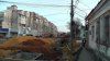 S5620002.jpg