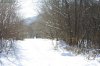_IMG_1646.jpg
