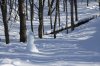 _IMG_1854.jpg