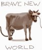 brave_new_world.jpg