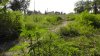 _S5870007.jpg