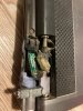 EG5bsbNp6_4.jpg