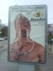 DSC00389.jpg