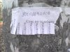 DSC00005.JPG