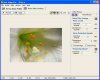 neat_image_pro_5_plus_setti.jpg
