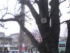 DSC00177.JPG