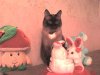 DSC00158.JPG