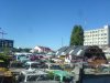 DSC00914.jpg