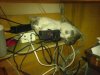 DSC00752.jpg