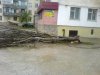 DSC01171.jpg