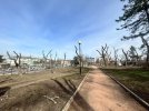 п5р45454пп.jpg