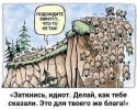 po-povodu_42569.jpg