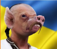 clipboard_image_10ba74b8a0bba2e.png