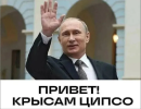 clipboard_image_d32a35b83c2e1292.png