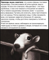 1759209073815.png