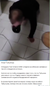 1780942863562.png