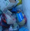 DSC01387.jpg
