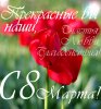 38966_copy.jpg