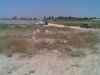 04082008_002_.jpg