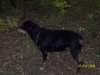 100_2413.JPG