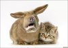 you_know_those_pictures____by_imamon.jpg
