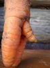 DSC01949.jpg