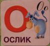 oslik.jpg