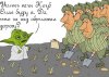 yoda.jpg