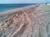 13092009_007_.jpg