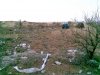 13092009_001_.jpg