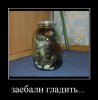 _zaebali_gladit.jpg